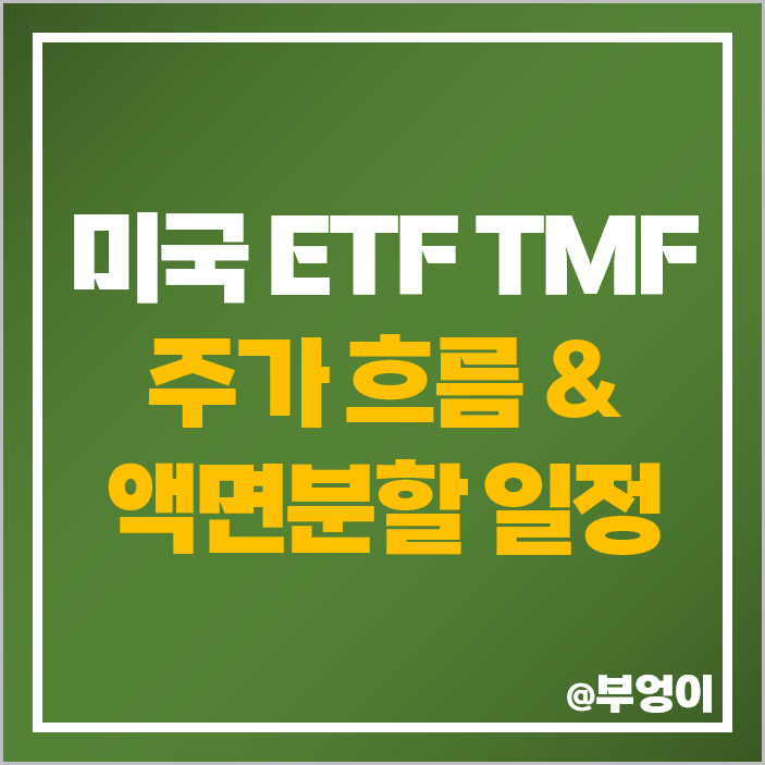 미국 레버리지 ETF TMF 주식 액면병합 일정 날짜 분할 차이