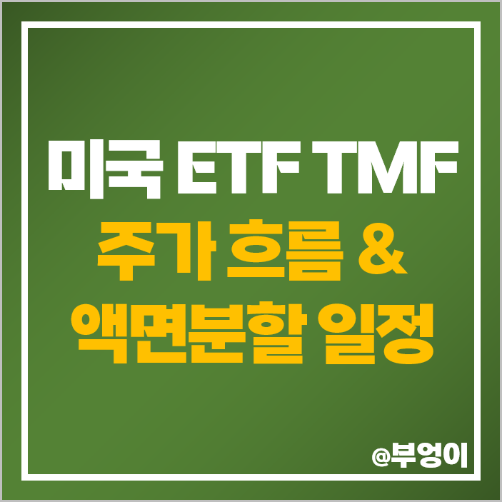 미국 레버리지 ETF TMF 주식 액면병합 일정 날짜 분할 차이 미국 레버리지 ETF TMF 주식 액면병합 일정 날짜 분할 차이