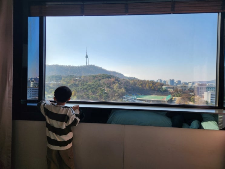  서울 신라호텔 비즈니스 디럭스더블룸 후기 (주차, 할인, 체크인, 남산뷰, 토요일 1박)