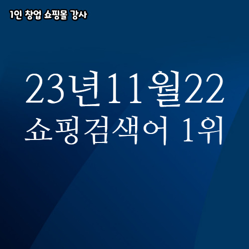  2023년 11월 22일 네이버쇼핑 분야별 인기 검색어 1위