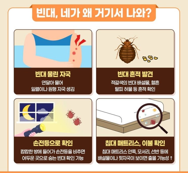 빈대 방역 및 예방법!