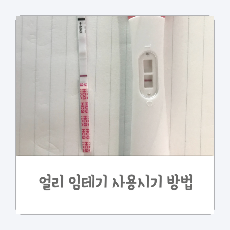  얼리 임테기 사용시기 사용방법 희미한 두줄 임신