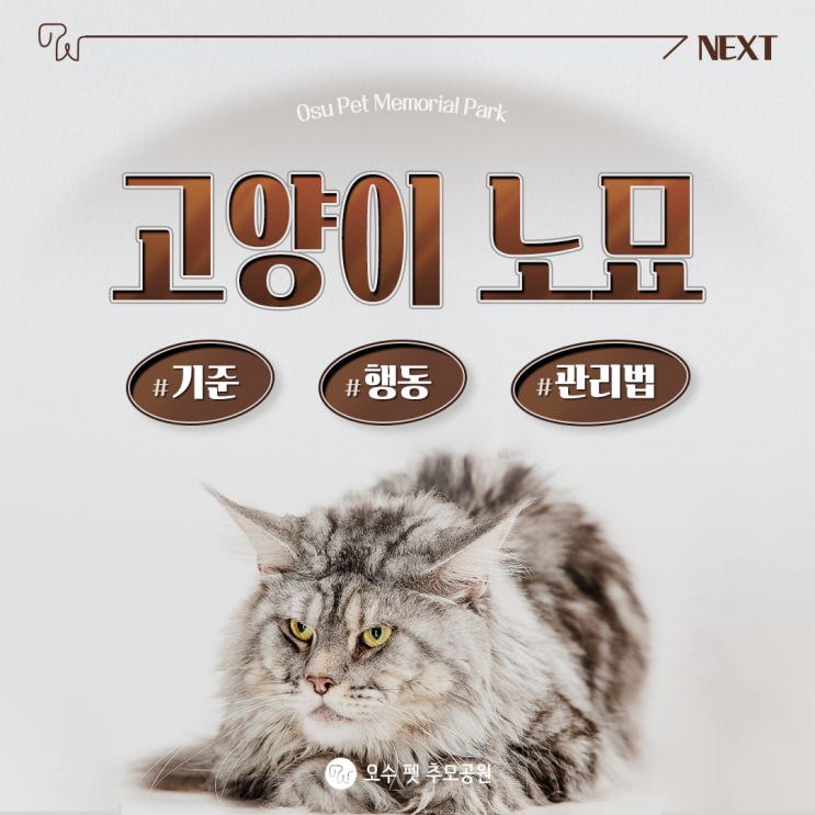  고양이 노묘 기준 행동 관리법 알려드려요