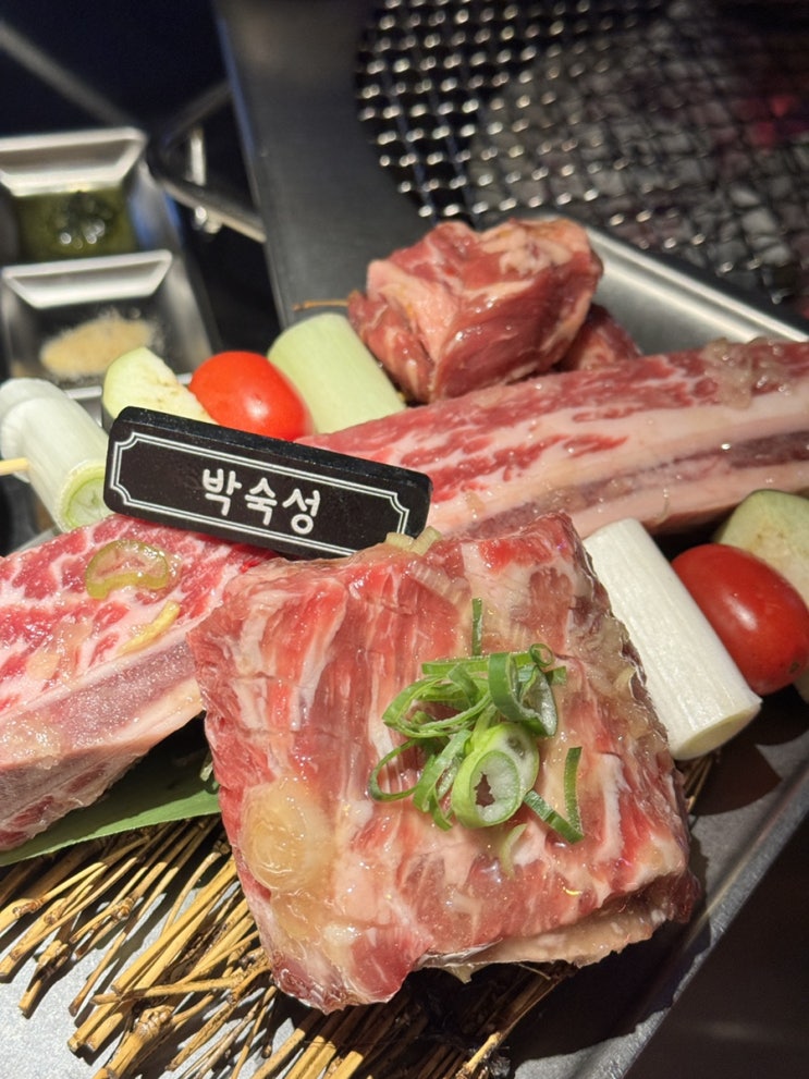  서강대 주변 맛집 박숙성 소고기가 맛있는 마포 대흥역 애견동반식당