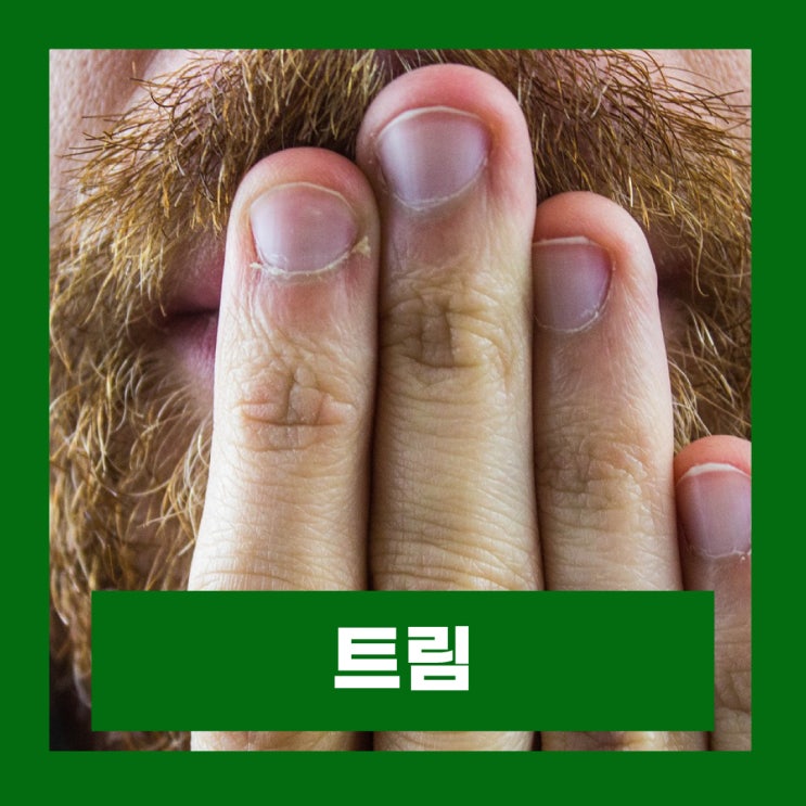  트림이 자주 나오는 이유 잦은 트림 소화불량 해소법