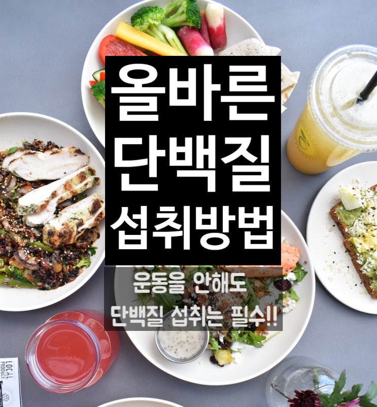  [쌍문동헬스장/쌍문동PT] 올바른 단백질 섭취 방법