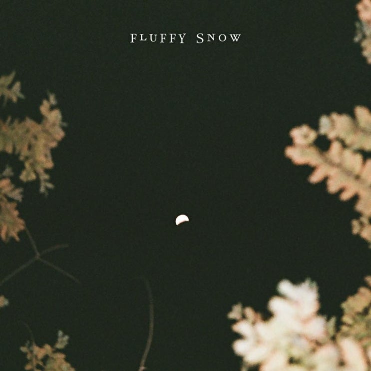 FLUFFY SNOW(플러피스노우) - 어떤 밤 (Some Nights) [노래가사, 노래 듣기, MV]
