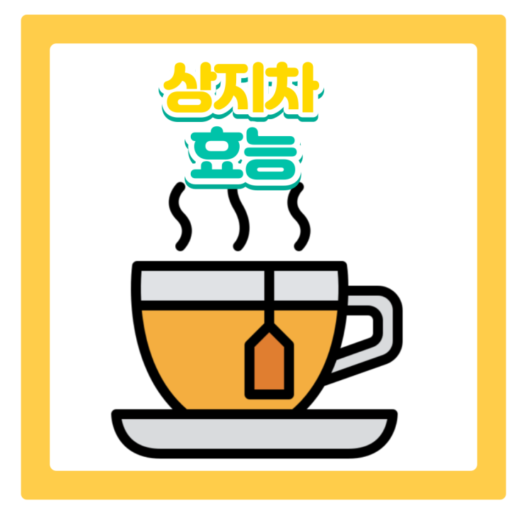  상지차 효능 및 먹는법 알아보기