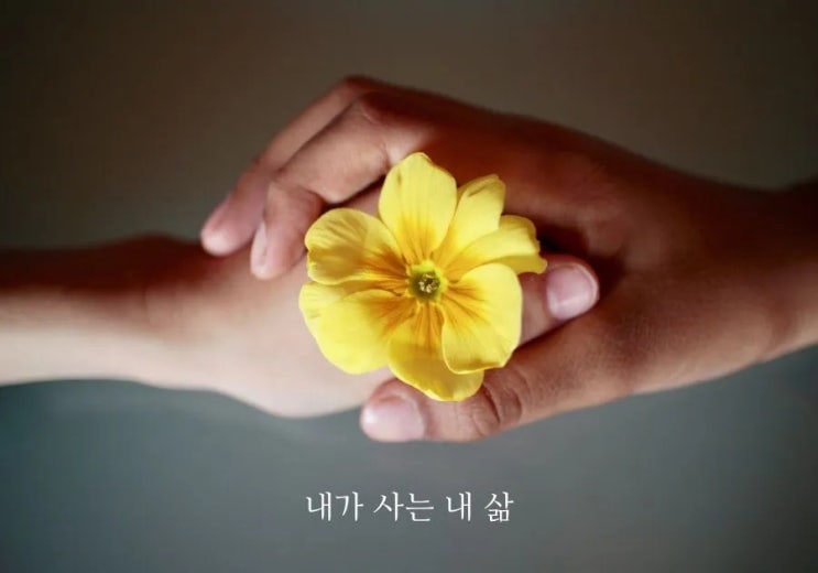  내가 사는 내 삶