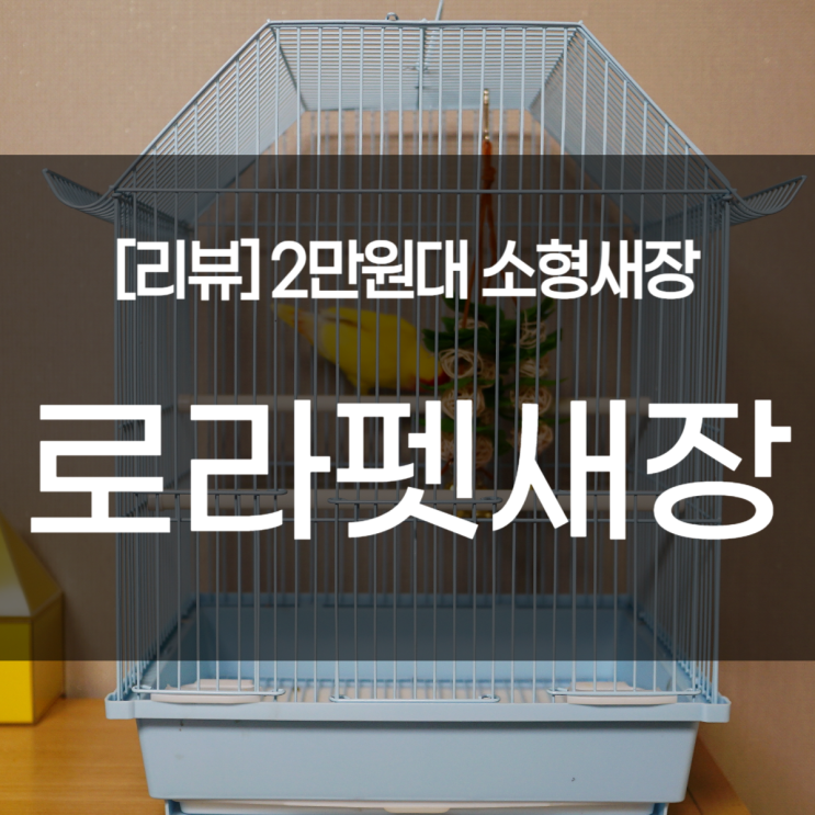  앵무새용품 필수품. 2만원대 모란앵무 사랑앵무 핀치 새장. 로라펫