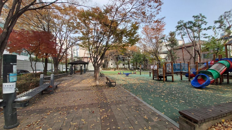  가을 낙엽 놀이터