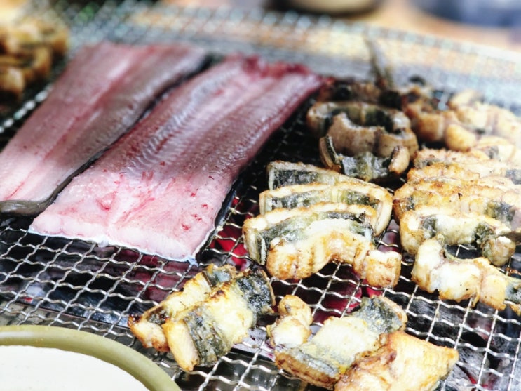  직접 구워주시는 제천 장어 맛집 의림지장어촌 내돈내산