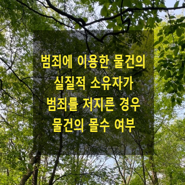  범죄에 이용한 물건의 실질적 소유자가 범죄를 저지른 경우 물건의 몰수 여부