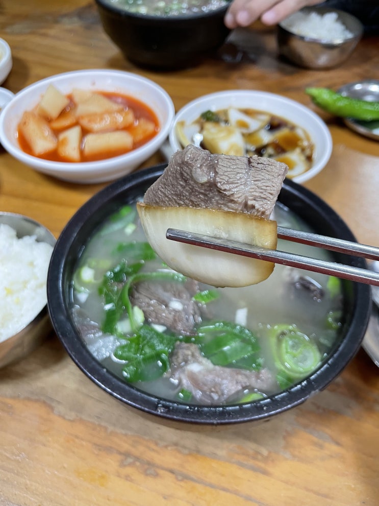  65년 전통 국밥장인 포항 죽도시장 장기식당 곰탕 완뚝 후기