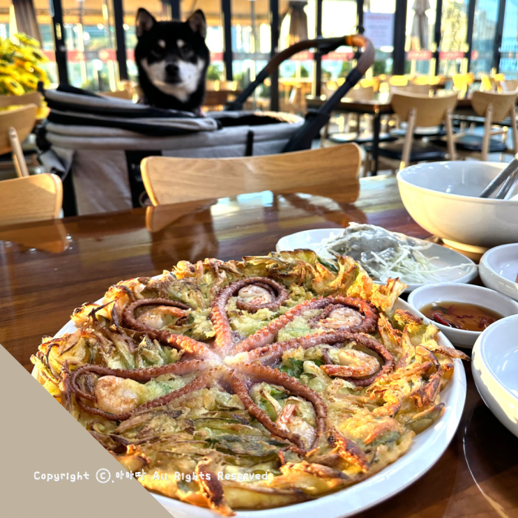  을왕리 애견동반 맛집 해상궁