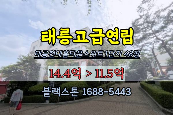 태릉고급연립 경매 태릉현대홈타운스위트 1단지 48평