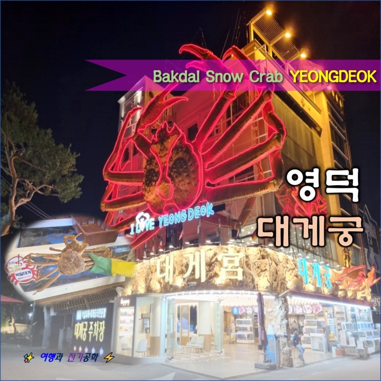  영덕 대게 먹어봤니? 강구항 대게거리 대게 궁 할인 맛집 카페도 무료!