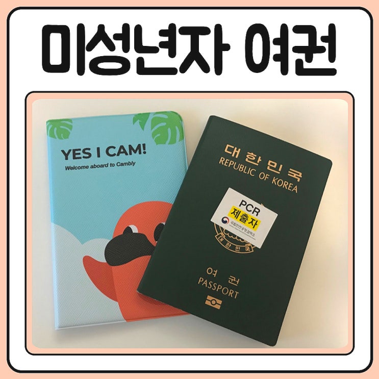  미성년자 여권 재발급 기간, 비용, 준비물 총정리 in 충주