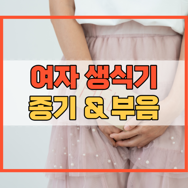 여자 생식기 종기 부음 원인 피지낭종 바톨린낭종 아시나요?