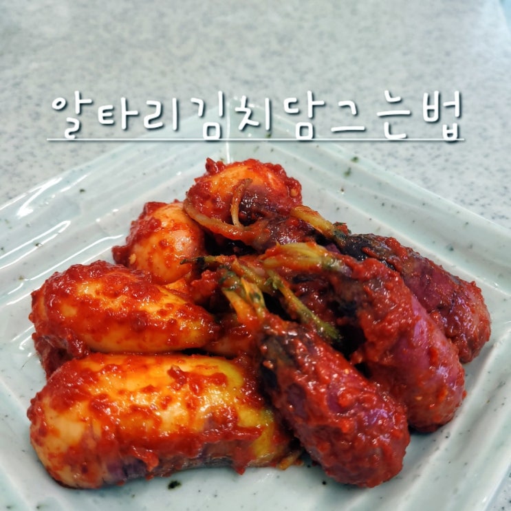  알타리김치담그는법 알타리무 김치 천재 레시피