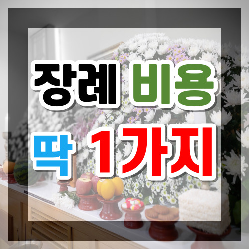  서울의료원장례식장 장례준비 비용을 당일로 선택 할 수 있는 후불제상조