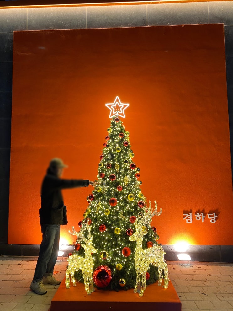  청주 동남지구 베이커리 카페 "겸하당 동남지구점" 크리스마스트리가 있는 빵 맛집 카페 추천!!