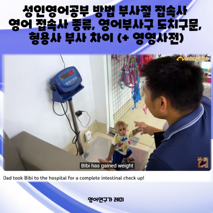 성인영어공부 방법 부사절 접속사 영어 접속사 종류, 영어부사구 도치구문, 형용사 부사 차이 (+ 영영사전)