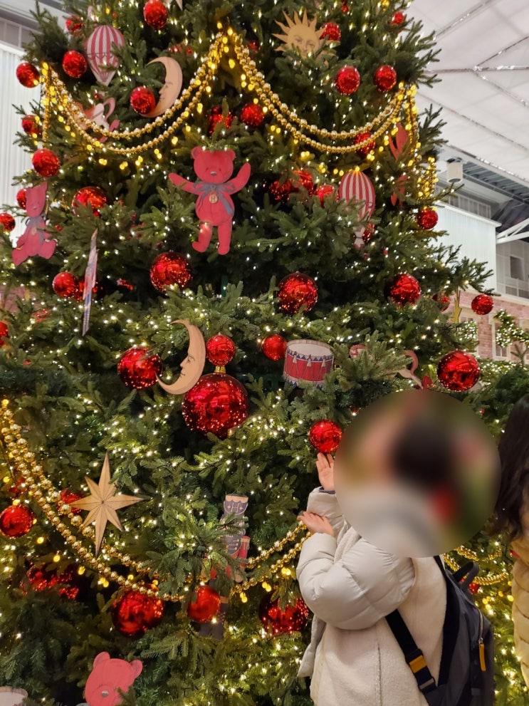 더현대서울 5층 크리스마스 해리의 꿈의 상점,예약 없이 다녀온 간단 후기(   해리의 꿈의 상점)