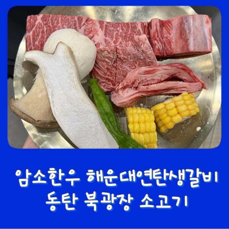  [동탄 북광장] 한우 해운대연탄생갈비 - 암소한우 생갈비, 양념갈비 동탄한우, 동탄맛집