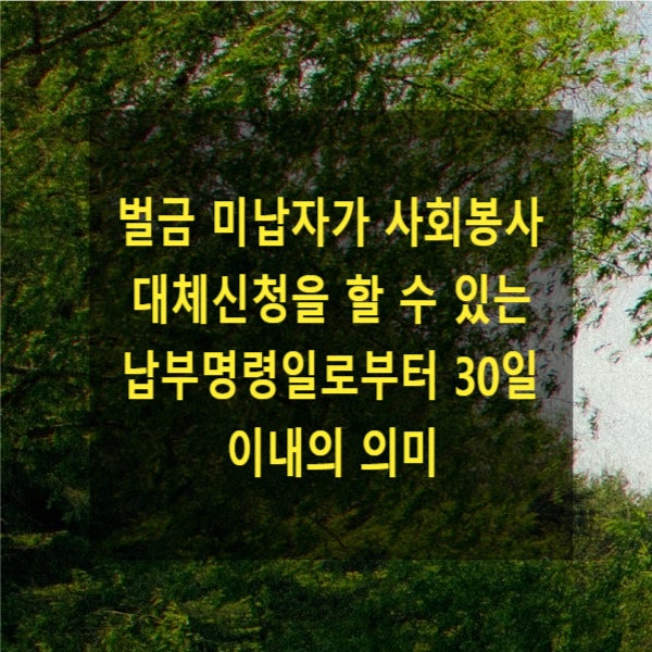  벌금 미납자가  사회봉사 대체신청을 할 수 있는 납부명령일로부터 30일 이내의 의미