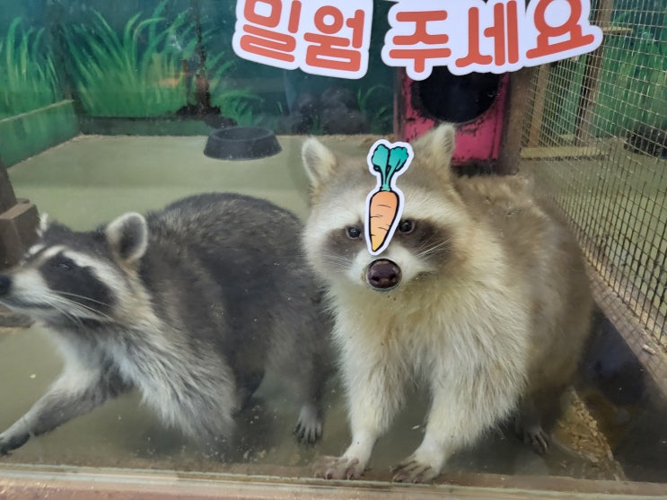  익산 2박 3일 가족여행 아이들과 가볼 만한 곳 액션하우스