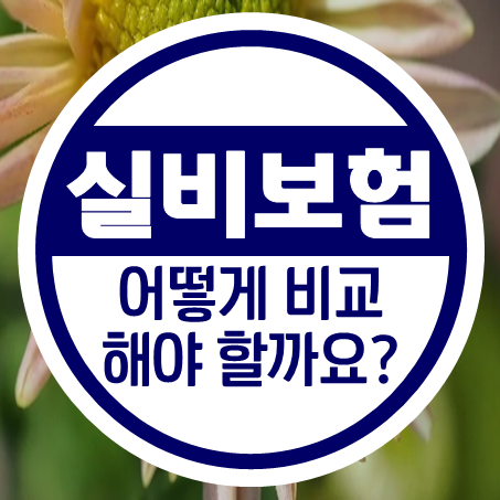  실비보험가격 계산 및 실비보험비 비교 시 고려사항