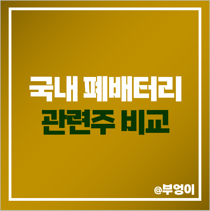 폐배터리 관련주 국내 주식 대장주 현대자동차 에코프로 주가 폐배터리 관련주 국내 주식 대장주 현대자동차 에코프로 주가