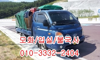 외동 입실 모화용달 울릉도 불국사 양남 양북 제주도 경주 산내 건천, 외동 입실 모화용달 울릉도 불국사 양남 양북 제주도 경주 산내 건천,
