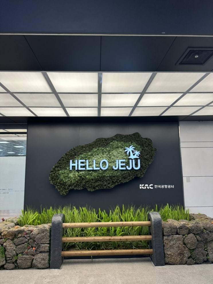  [제주도 여행] 3박 4일 제주여행 경비 일정 / 제주여행 맛집추천 코스