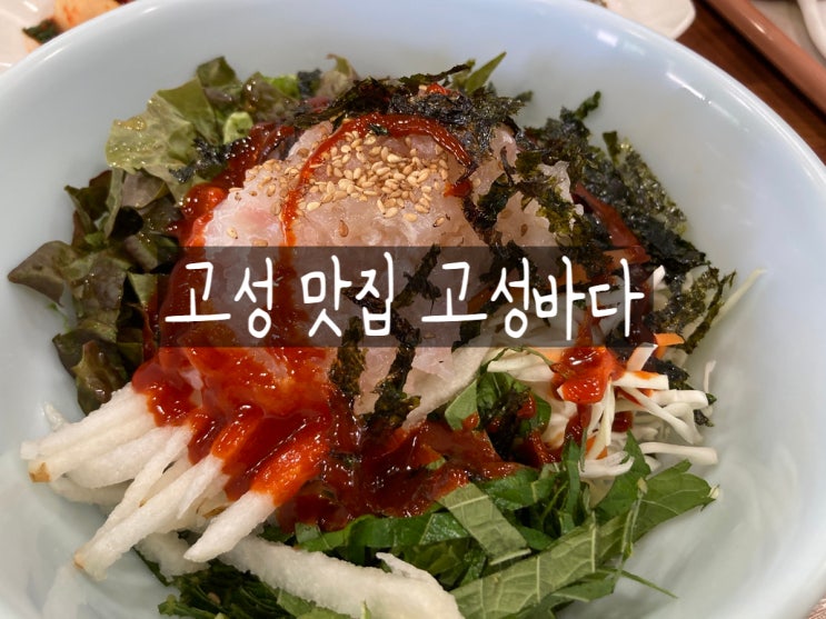  경남 고성 상족암 회덮밥 맛집 고성바다
