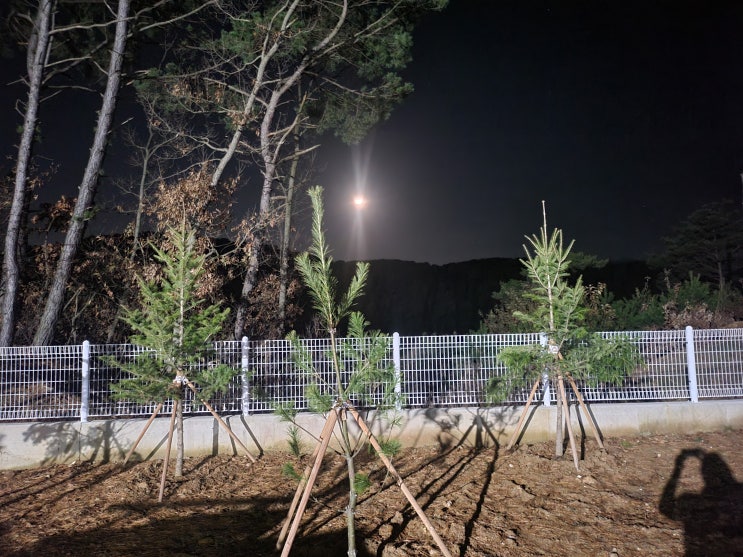 압도적인 규모의 드라마 세트장 도시가스 공사 다녀왔습니다.! (야간공사)
