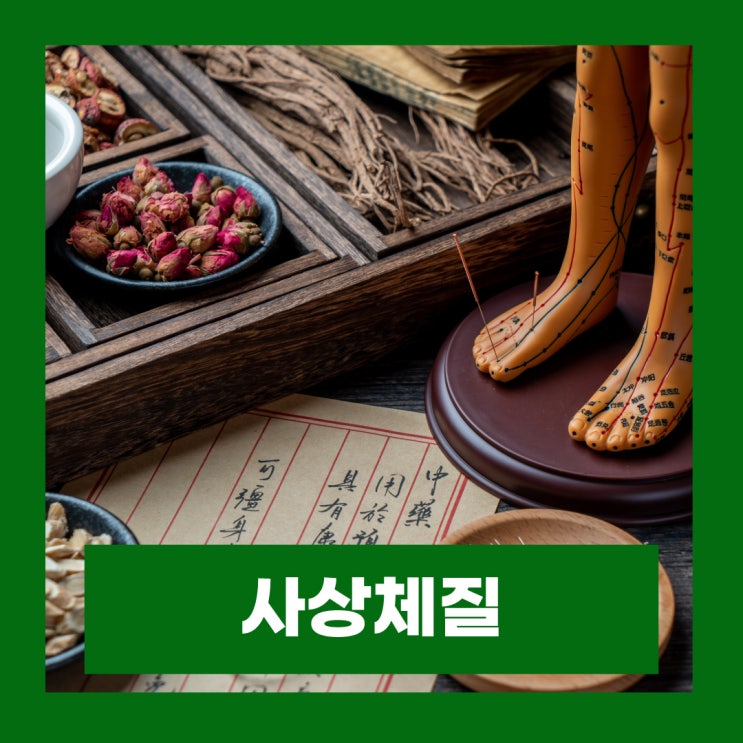  태양인 소양인 태음인 소음인 사상체질 신체 성격 건강 특징