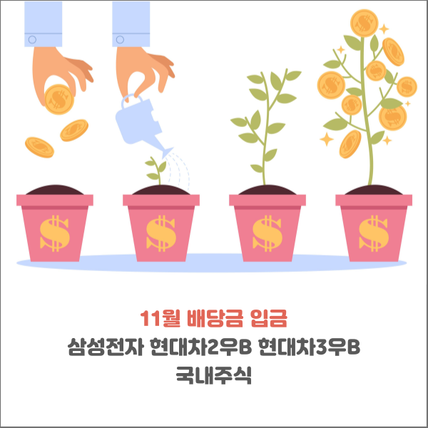  11월 배당금 입금 삼성전자 현대차2우B 현대차3우B 국내주식