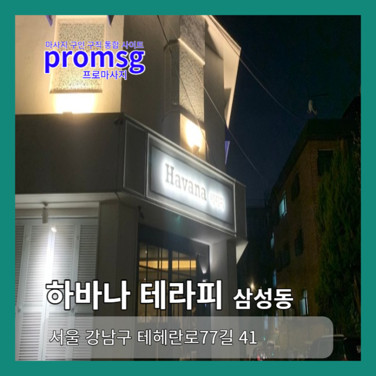  강남구 삼성동 하바나 테라피 마사지 구인 공고