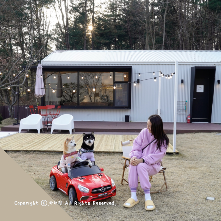  양평애견동반펜션 하루한팀 독채 풀빌라 네이처힐