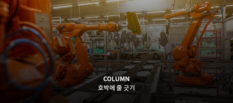  [진의환 고문 칼럼] 호박에 줄 긋기