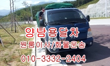 양남용달 양북 감포 제주도 경주 불국사 정자 울릉도 장기 양포. 양남용달 양북 감포 제주도 경주 불국사 정자 울릉도 장기 양포.