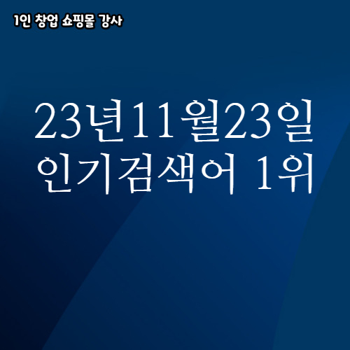  2023년 11월 23일 네이버쇼핑 분야별 인기 검색어 1위