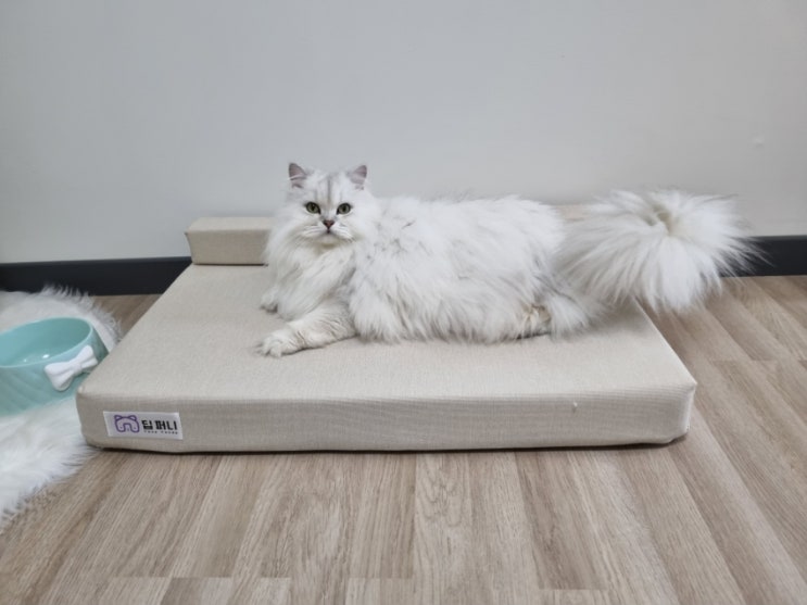  딥퍼니 고양이 침대 반려동물 매트리스 추천