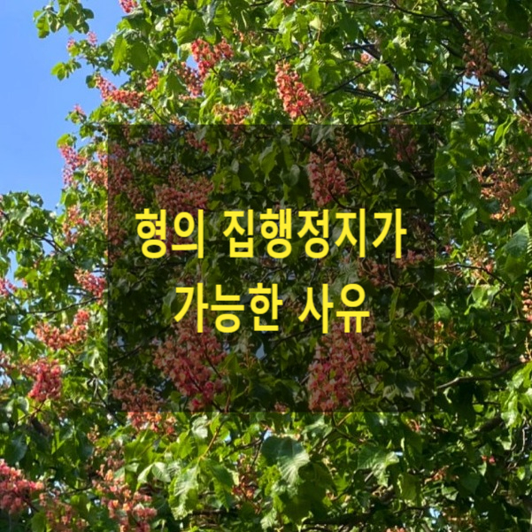  형의 집행정지가 가능한 사유