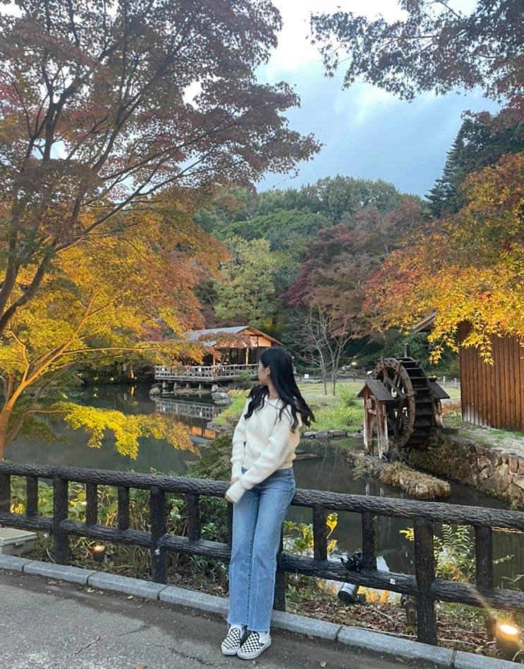 일본 나고야에서 가을 단풍 즐기기, 단풍 라이트업 축제 '히가시야마 동 식물원' 