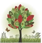  어리석은 나무(A silly tree)
