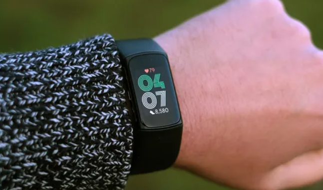 핏빗 차지6 Fitbit Charge 6 장점 단점 리뷰