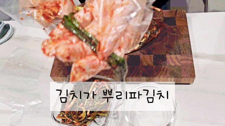  김치 배송 맛집, 짜지않고 맛있는 '김치가' 무농약 뿌리파김치